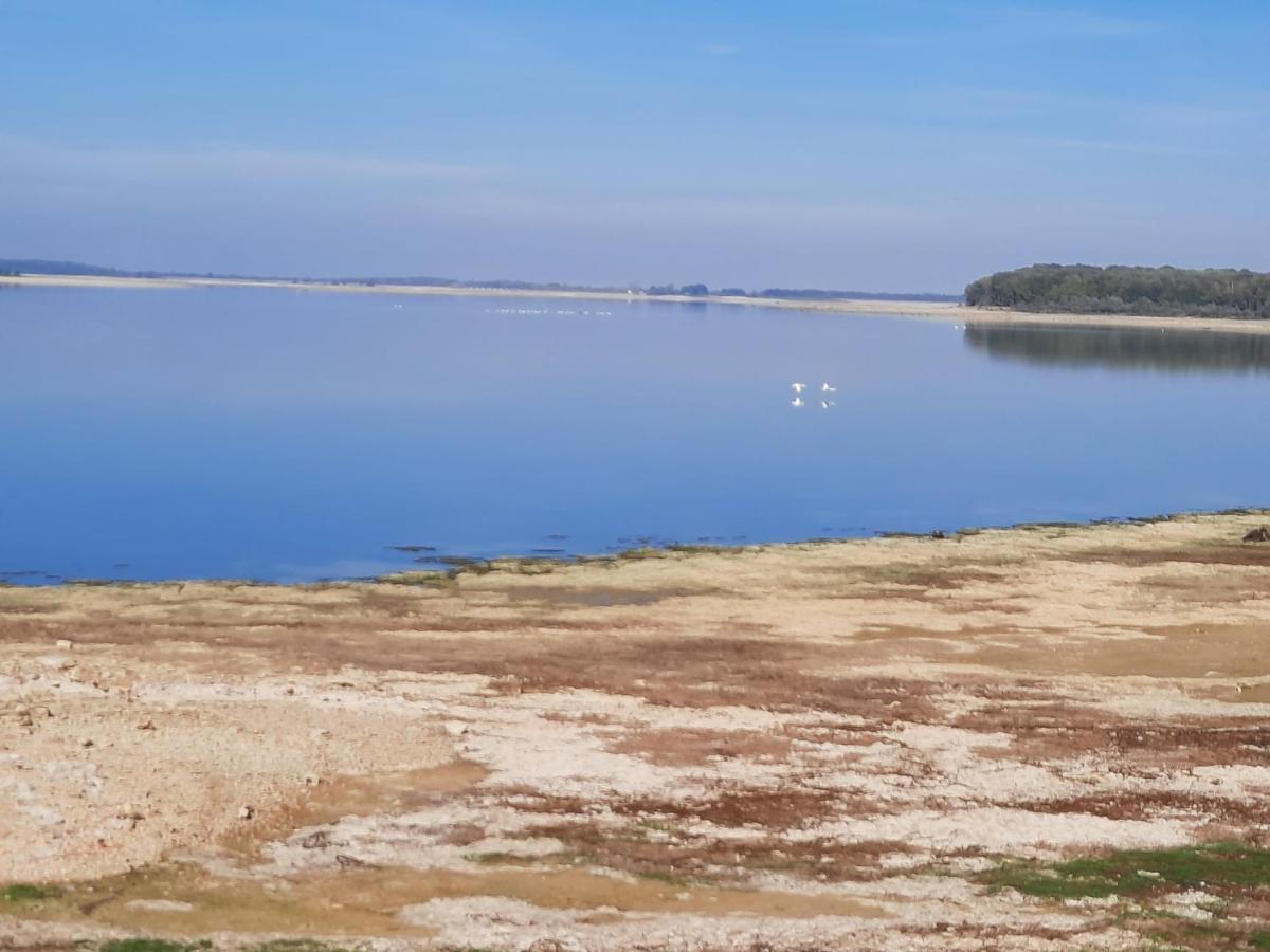 Marne Lac Du Der Joli Chalet Au Charme Du Der Chatillon-sur-Broue Buitenkant foto